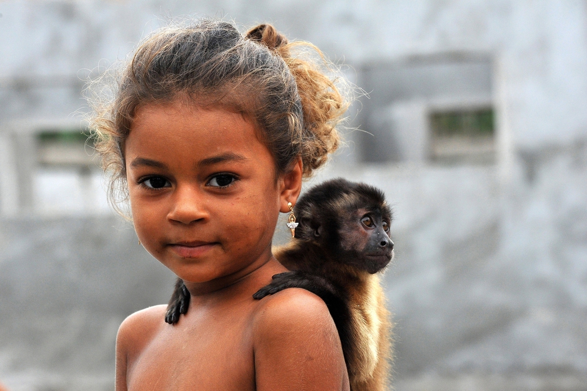 Chiavari Harbour - Italy