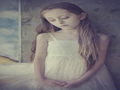 to hide from the wind