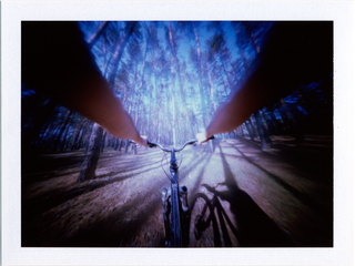 Walk in the woods (Pinhole.Polaroid)