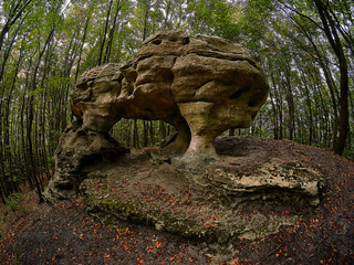 Спящий дракон