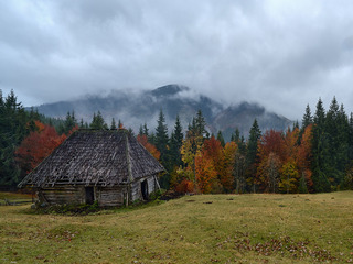 Брошенная хата