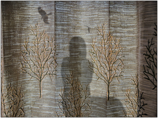 Curtain with a shadow
