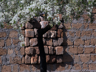 Игра зрения