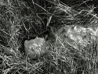 Back to the future 7