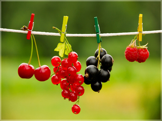 Літня сушка