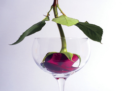 Совмещение