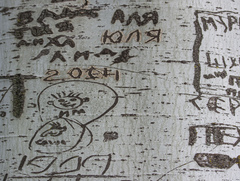 «Деревороглифы или ТУТ БЫЛ Я»