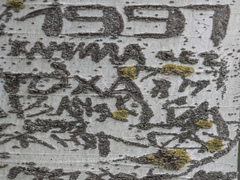 «Деревороглифы или ТУТ БЫЛ Я»