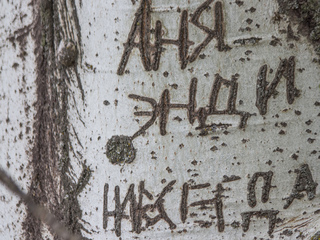 «Деревороглифы или ТУТ БЫЛ Я»