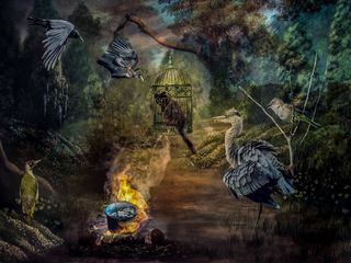 Tiddles is in Trouble