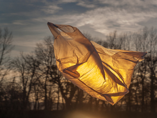 Серія: Прості предмети