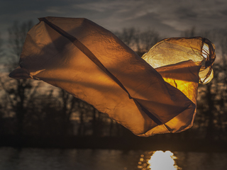 Серія: Прості предмети