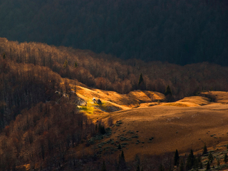 Хатинка осіння