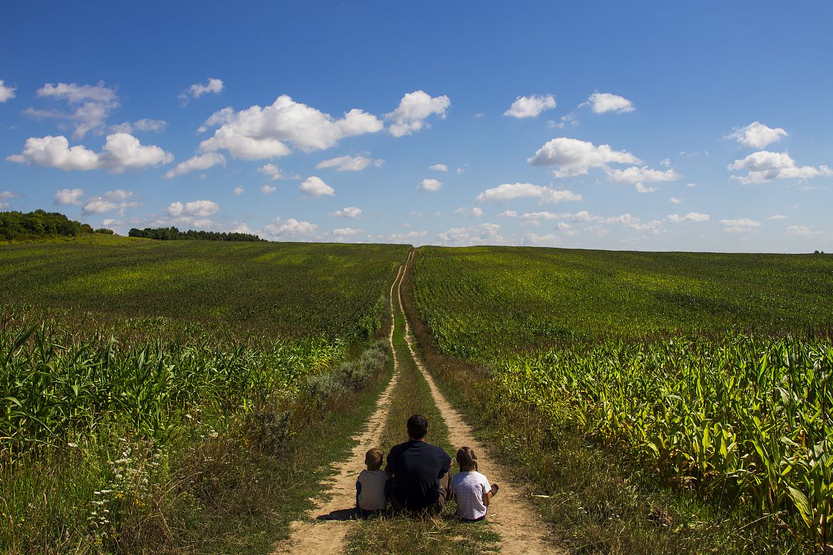 дорога домой