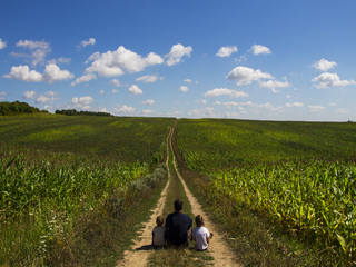 дорога домой