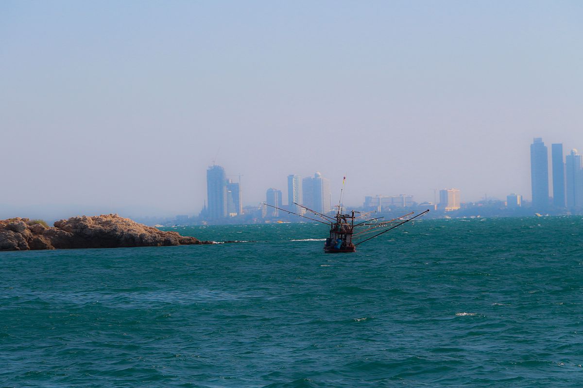 кормилец мегаполиса