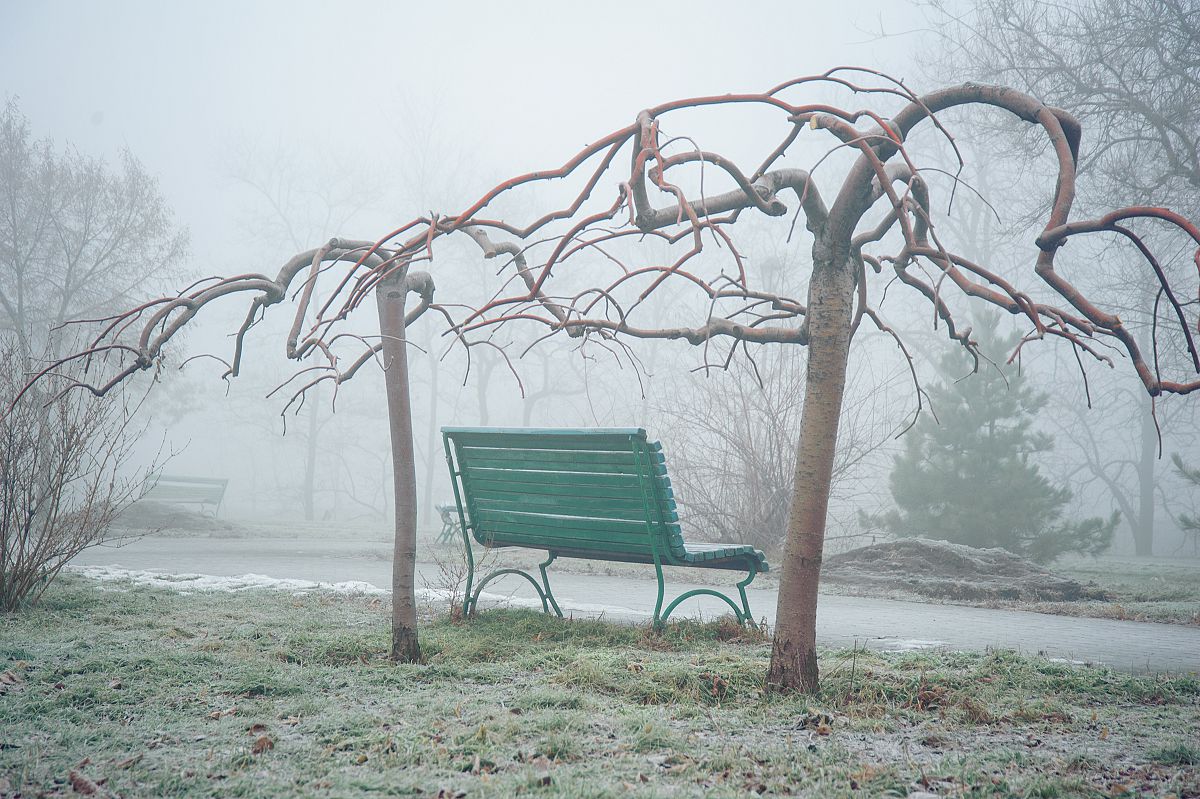 Моє Запоріжжя_3