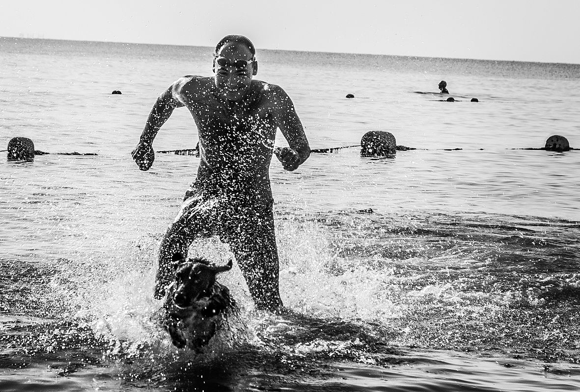 Собачий вальс