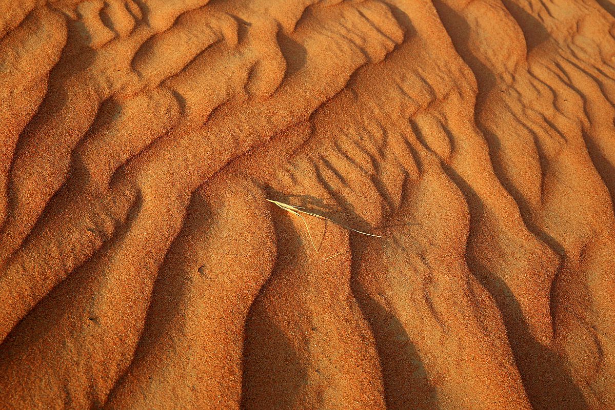 Жага до життя.