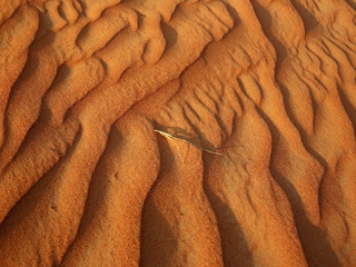 Жага до життя.