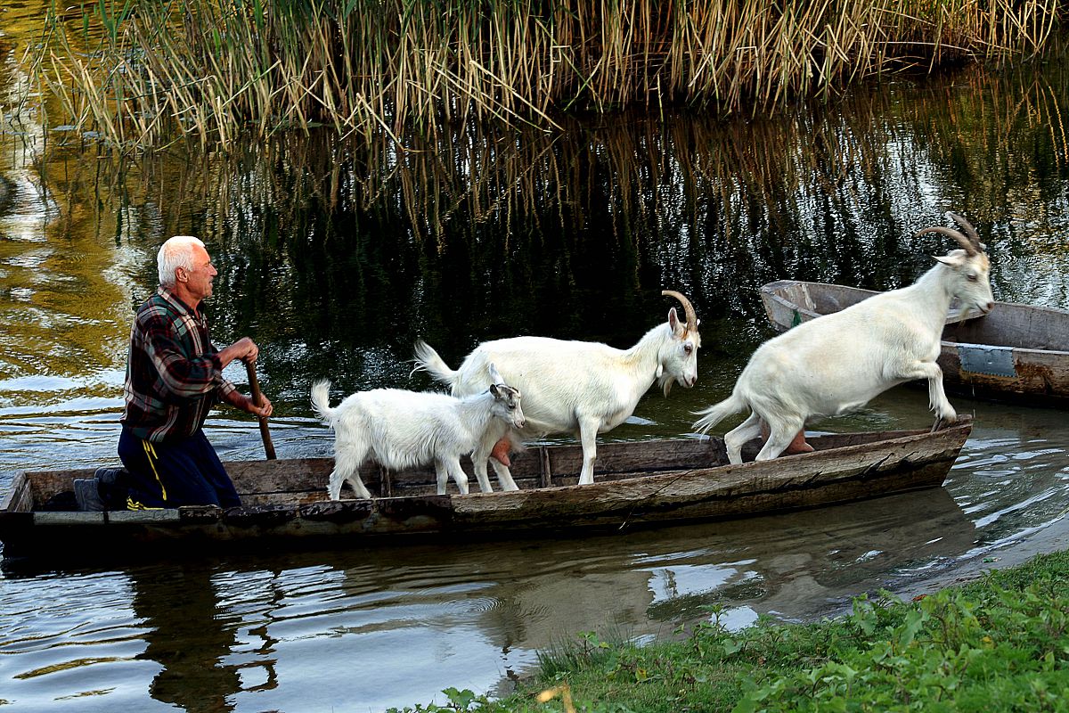 Майже Дід Мазай