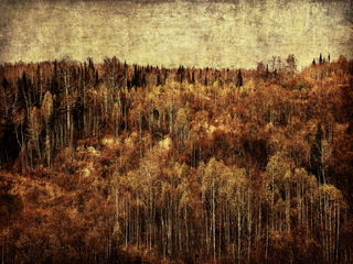 Ржавая осень