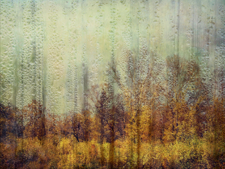 Запах осени