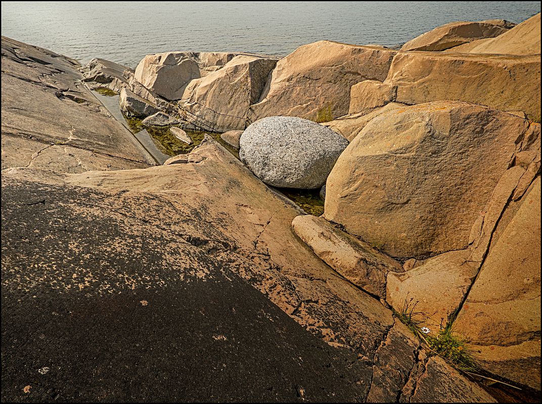 Grey stone and flower