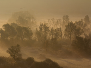 На шляху у теплі краї