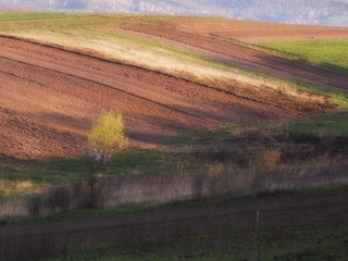 impressionistic motif-2