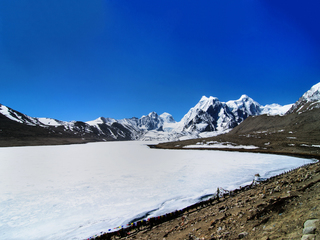 FROZEN GURUDONGMAR