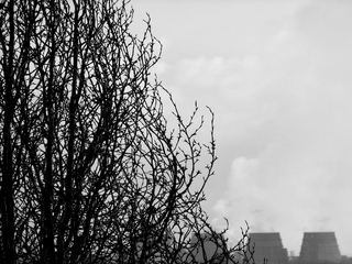 Промисловий ранок (Кривий Ріг)