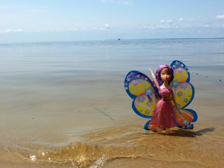 З морських хвиль