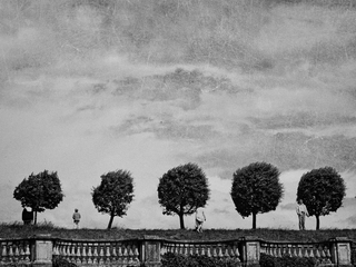 Vered, back, reflect