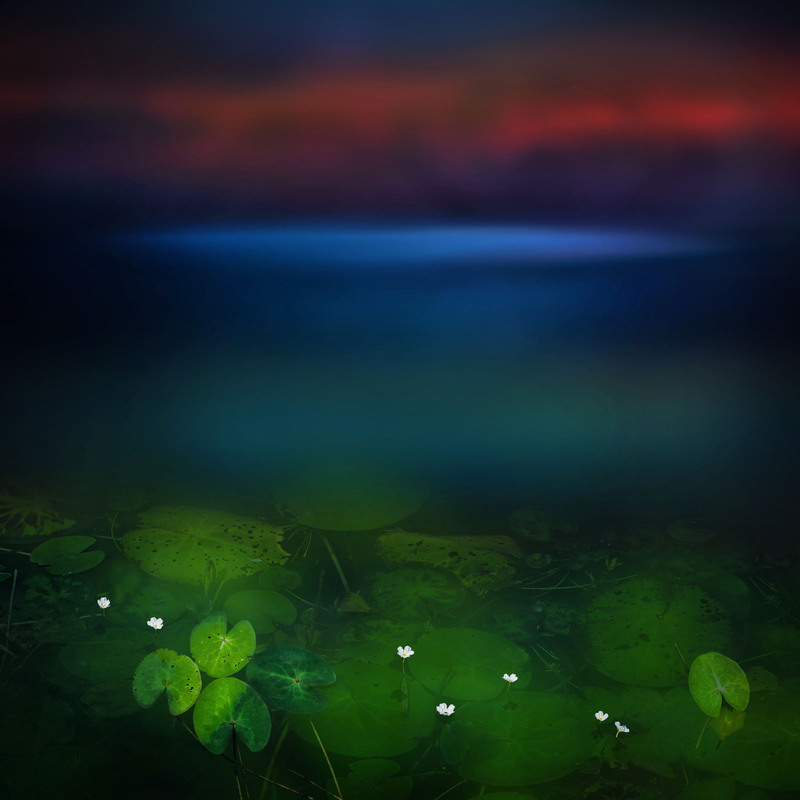 THE VOICE OF THE LIGHT