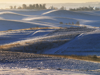 Морозний ранок