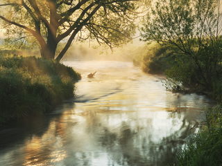 Золота вода