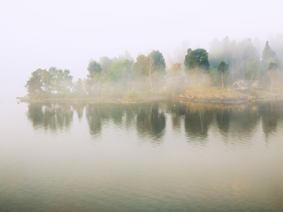 Туманний ранок