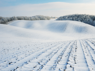 На хвилях зими