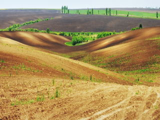 Весняне поле
