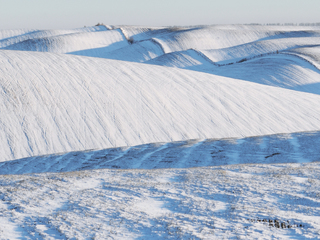 Хвилястість