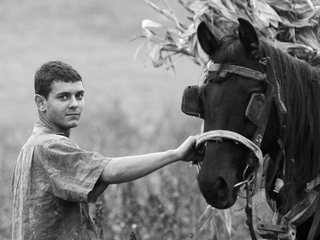 Boy and horse