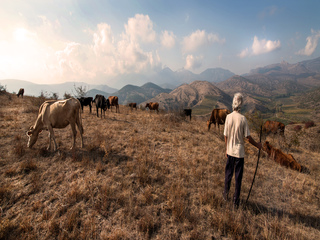 High in the mountains