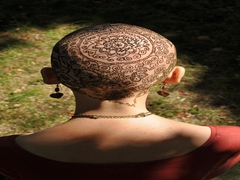 из серии Лысые