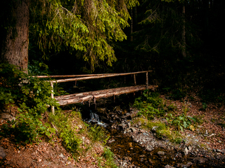 Old wooden bridge