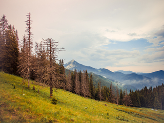 Sunset is in Carpathians