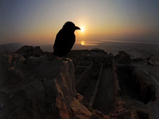 Утро на Массаде