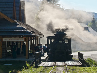 Гірська залізниця