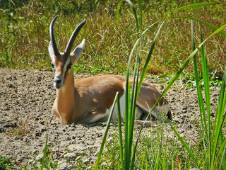 Безпечний відпочинок