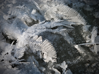 Паморозь на льоду річки